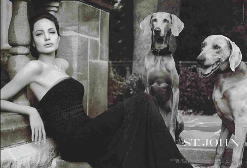 Angelina Jolie